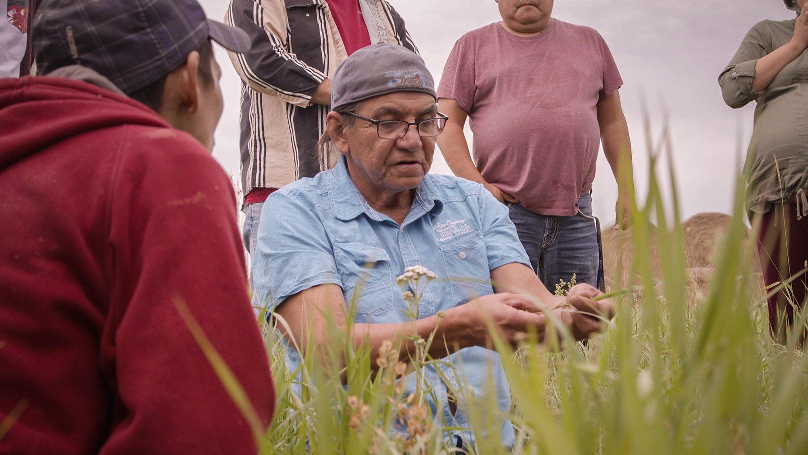 Indigenous man kneeling in tall grass and teaching others about farming