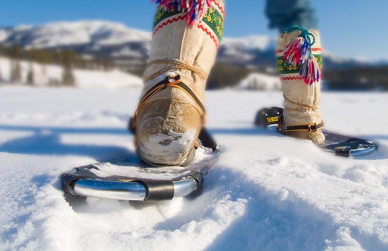 Snowshoe