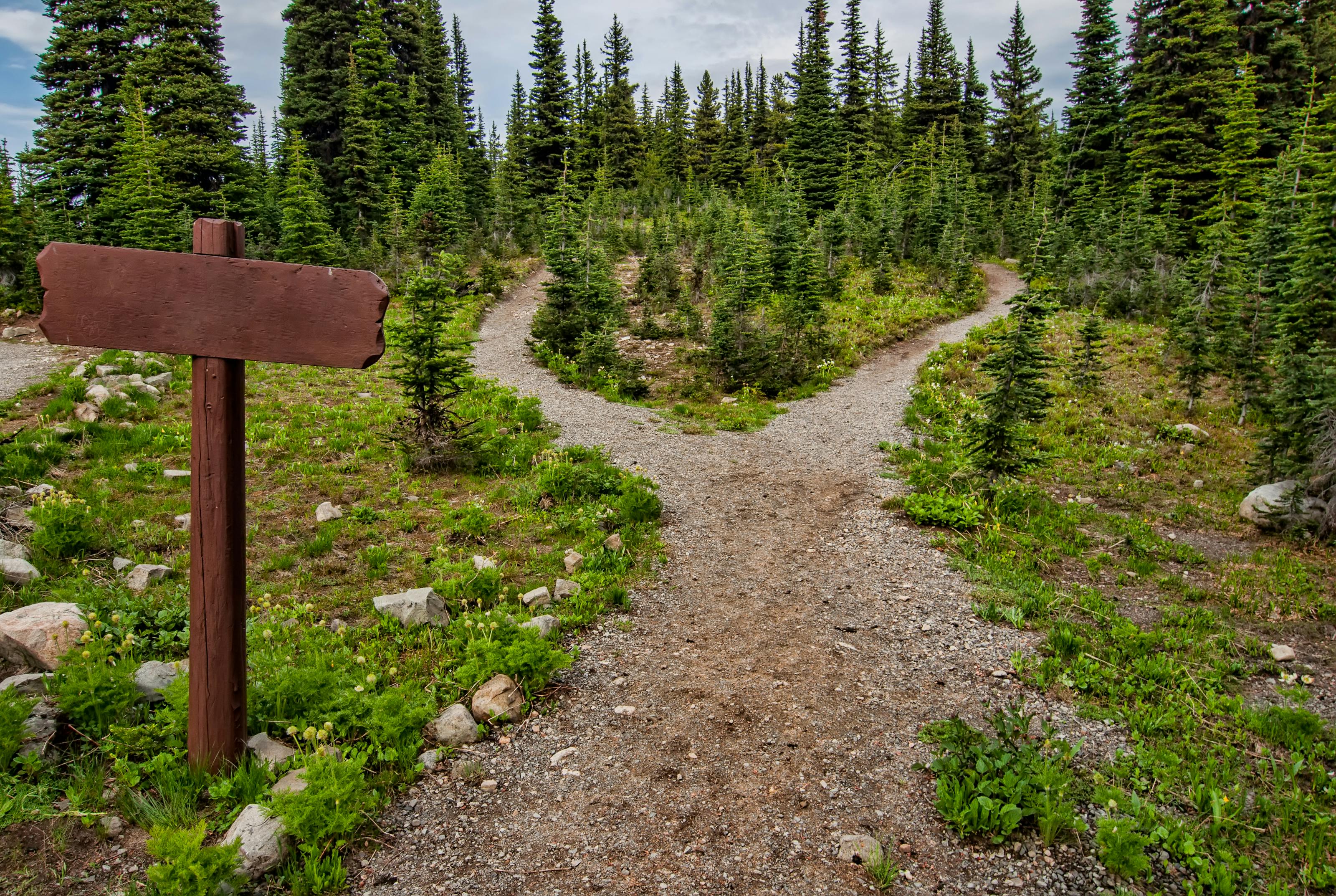 forked path fork in road