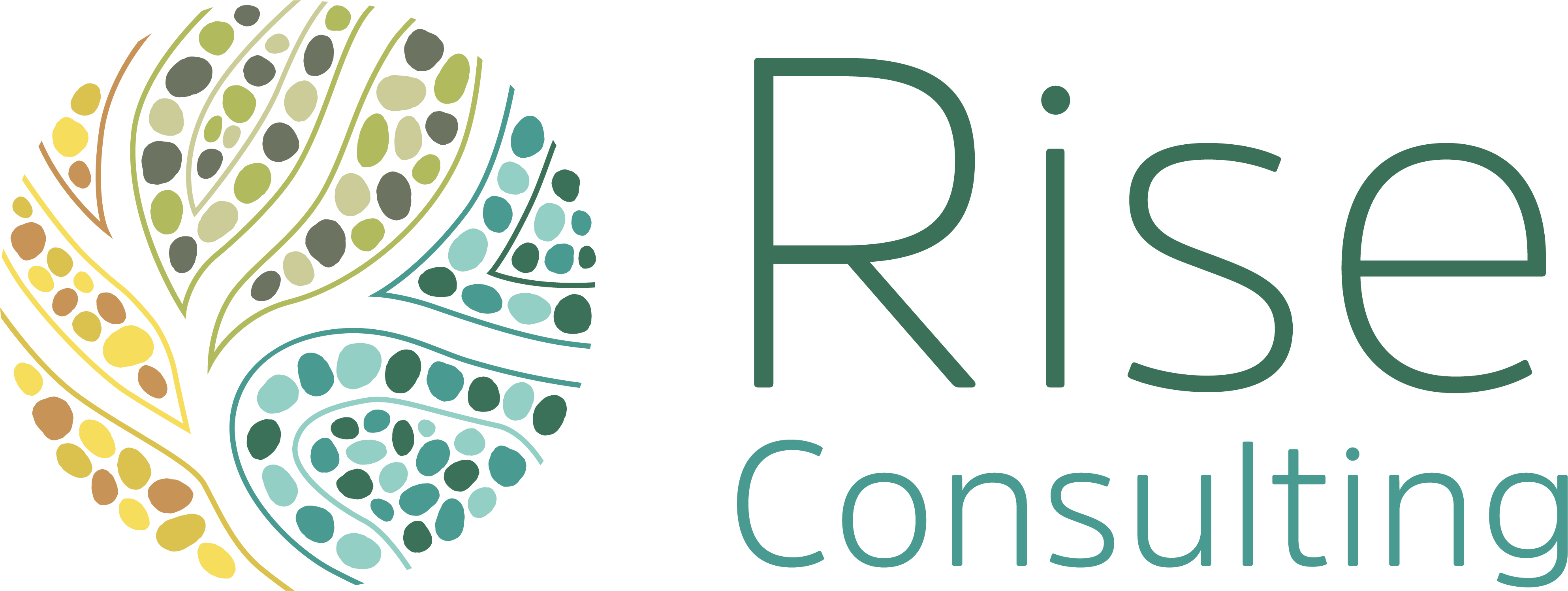 Rise-Logo_Horizontal_CMYK