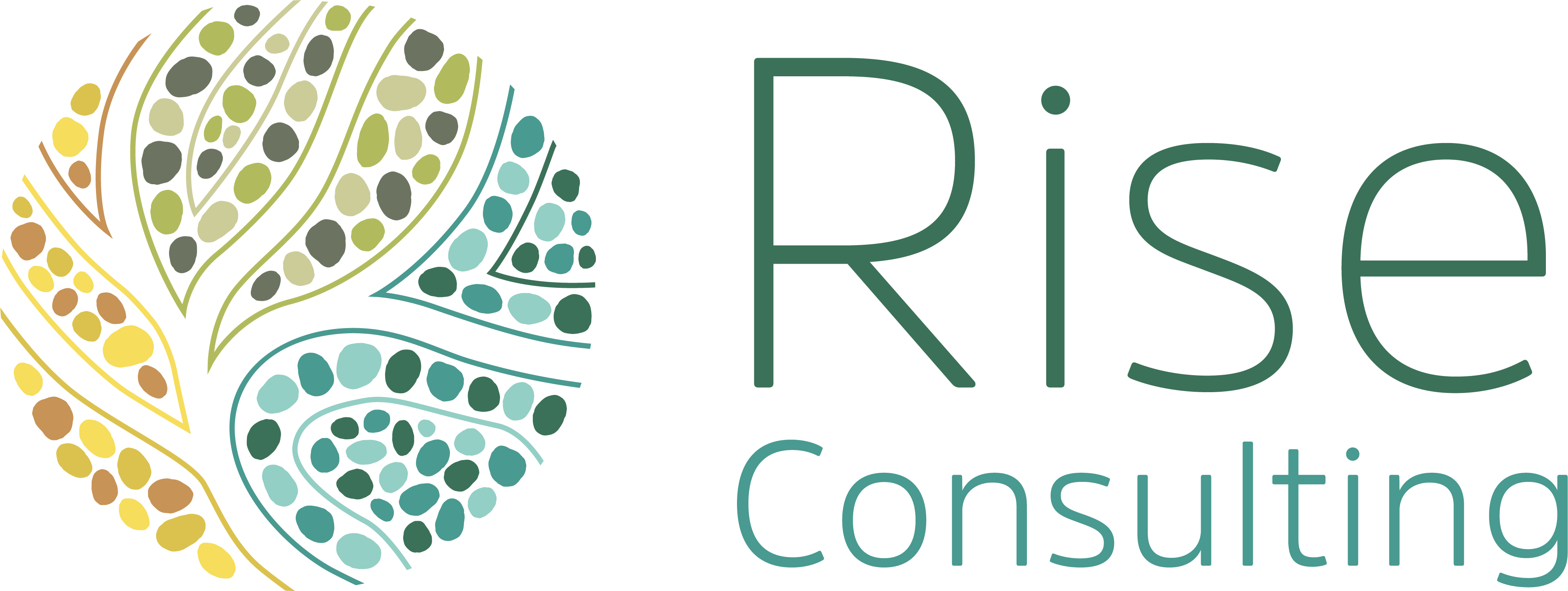 Rise-Logo_Horizontal_CMYK